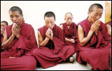 [tibetan nuns]